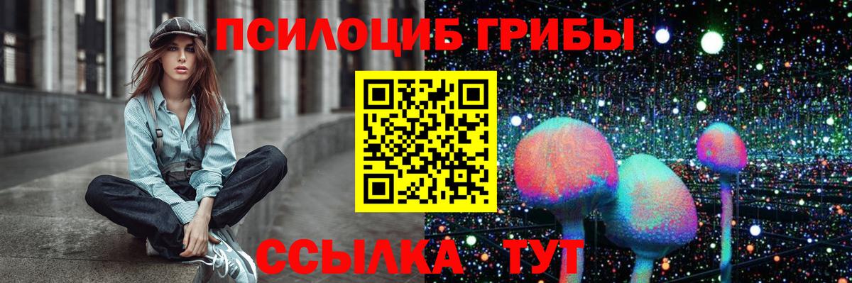 Галлюциногенные грибы Cubensis Полевской